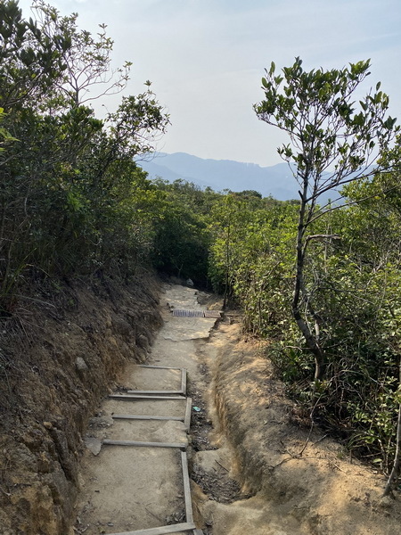 20240320 香港港島徑龍脊，兼遊半山電動手扶梯、西營盤