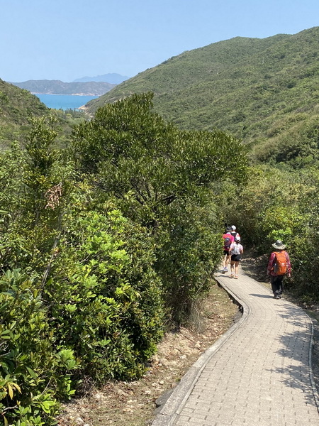 20240321 香港麥理浩徑100K徒步自助行第二段，浪茄