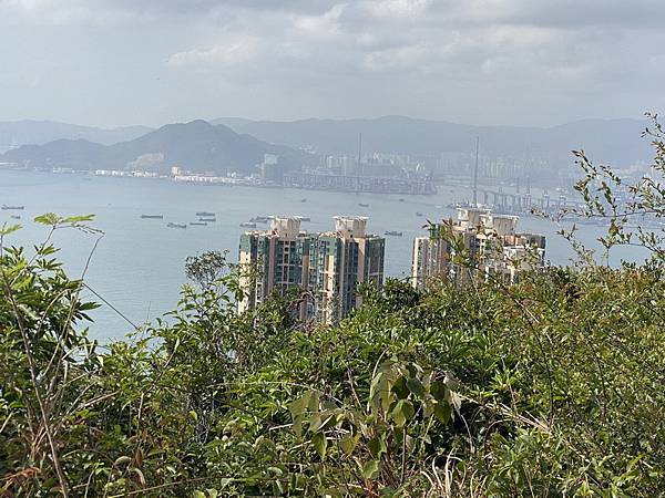 20240322 香港港島徑：香港大學－龍虎山郊野公園－山頂