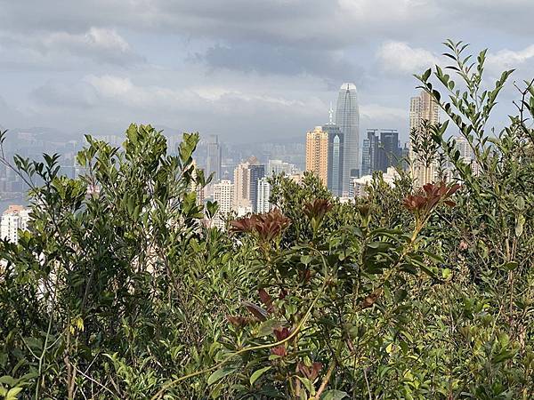 20240322 香港港島徑：香港大學－龍虎山郊野公園－山頂