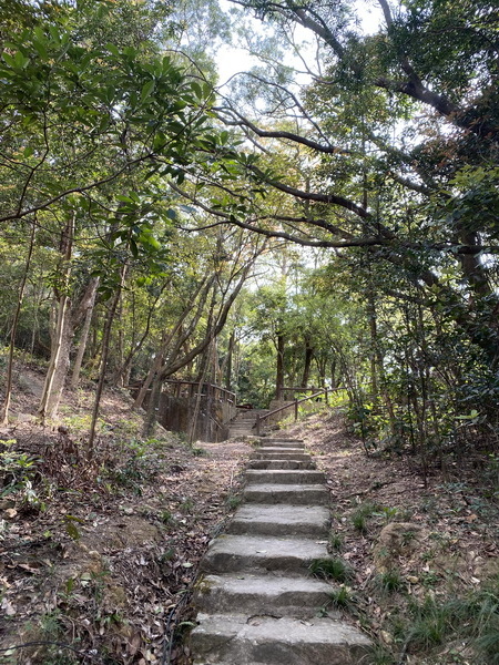 20240322 香港港島徑：香港大學－龍虎山郊野公園－山頂