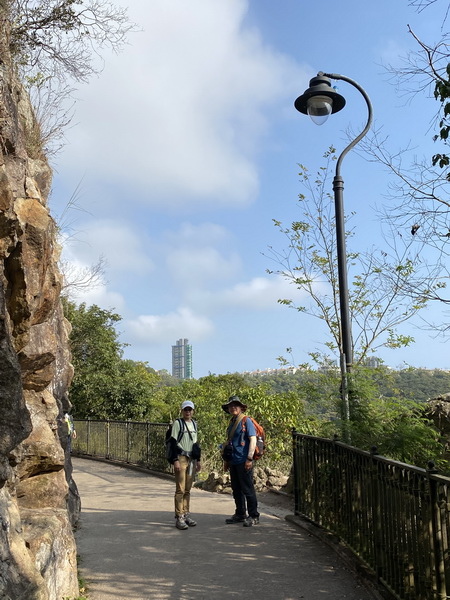 20240322 香港港島徑：香港大學－龍虎山郊野公園－山頂