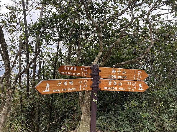 20240323 香港麥理浩徑100K徒步自助行第五段，基維