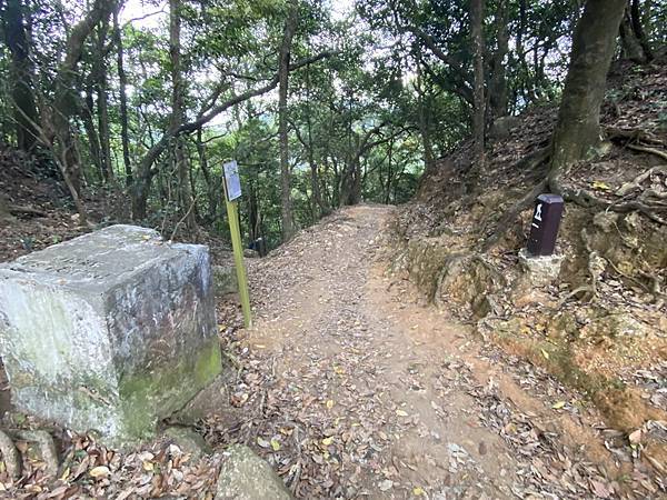 20240323 香港麥理浩徑100K徒步自助行第五段，基維