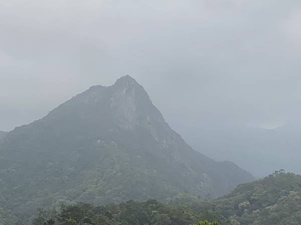 20240323 香港麥理浩徑100K徒步自助行第五段，基維