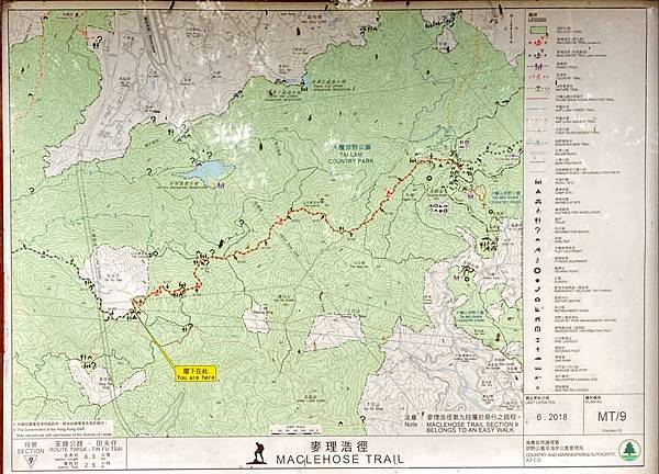 20240325 香港麥理浩徑100K徒步自助行第十段，田夫