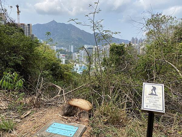 20240325 香港麥理浩徑100K徒步自助行第十段，田夫