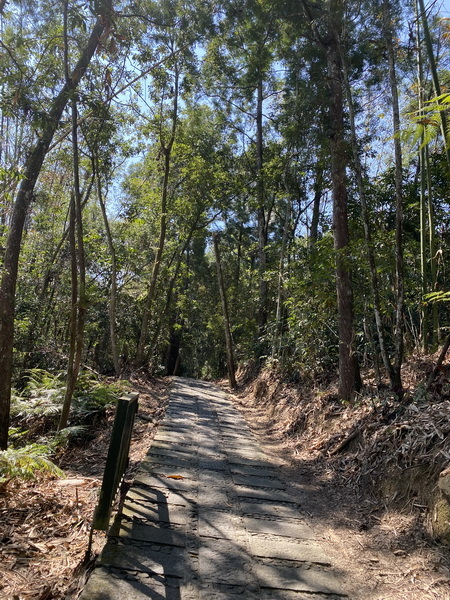 20240404 日月潭環潭徒步行，向山－玄光寺－文武廟