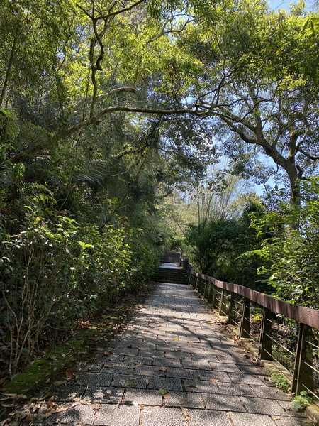 20240404 日月潭環潭徒步行，向山－玄光寺－文武廟