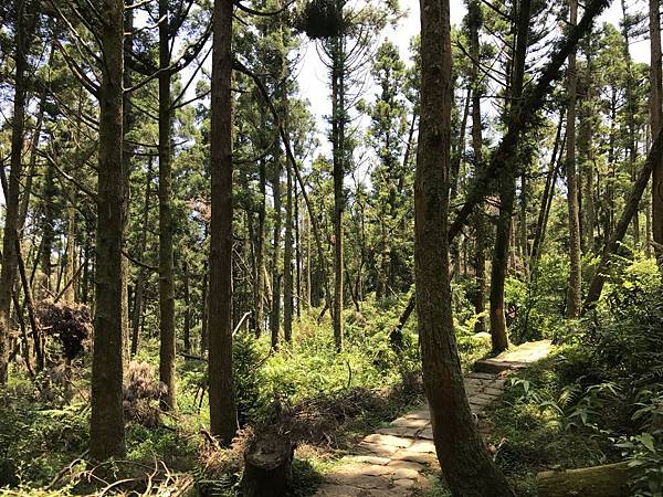 IMG_8117.jpg IMG_8117.jpg