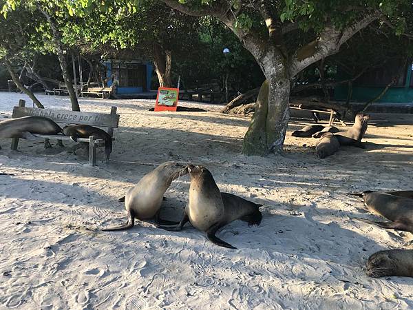 IMG_7888.JPG IMG_7888.JPG