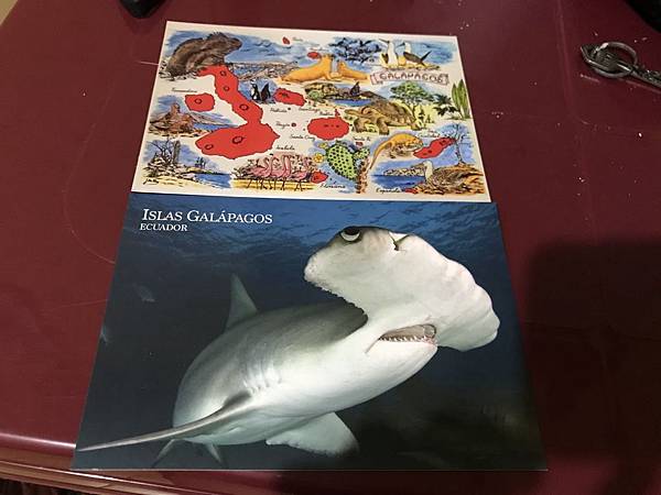 IMG_E8411.JPG IMG_E8411.JPG