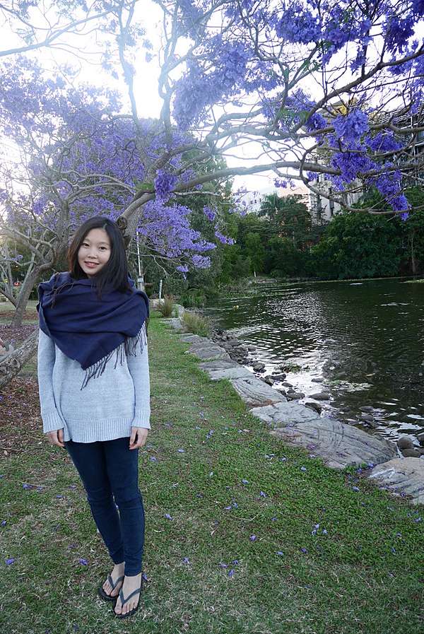 藍花楹 季節限定 澳洲城市陷入紫色魔幻中 Hi我是雪莉 痞客邦