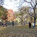 Boston Common 一景