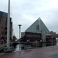 水築館，National Aquarium in Baltimore.