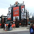 Slogan: This is birdland...