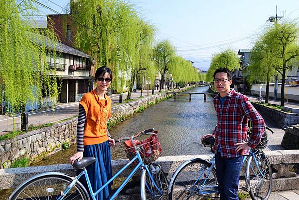 除了櫻花 白川也有垂柳 (腳踏車之旅令人難忘) 除了櫻花 白川也有垂柳 (腳踏車之旅令人難忘)
