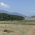 稻田、樹林、砂石場..