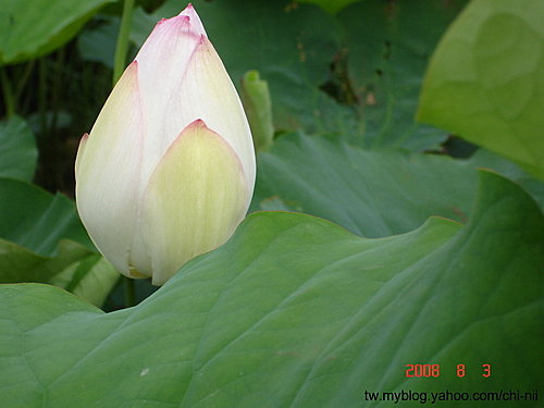 DSC06440