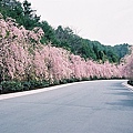 F1080006.JPG