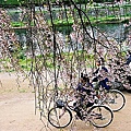 F1000030.JPG