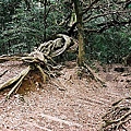 F1050035.JPG
