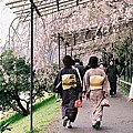 京都半木之道