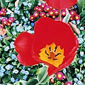 F1010031.JPG