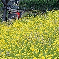 F1010021.JPG