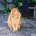F1030009.JPG