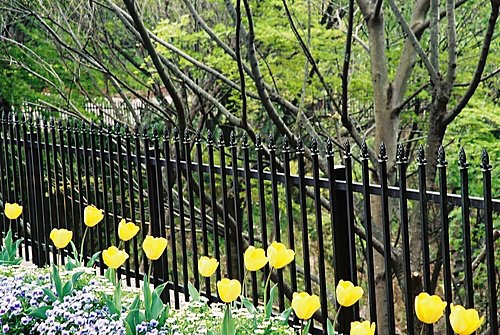 神戶布引花園