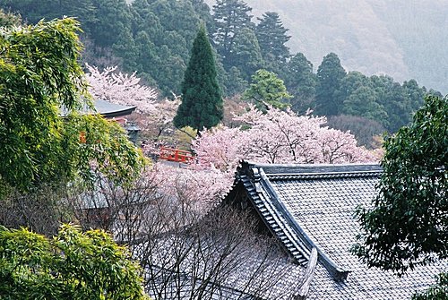 鞍馬寺