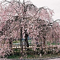 F1000026.JPG