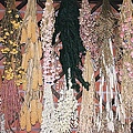 F1020032.JPG