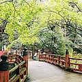 F1030017.JPG