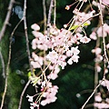 F1000034.JPG