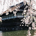 平安神宮