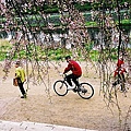 F1000029.JPG