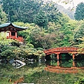 醍醐寺