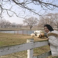 Amish Village, PA