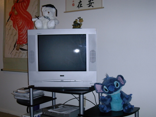 My new TV My new TV