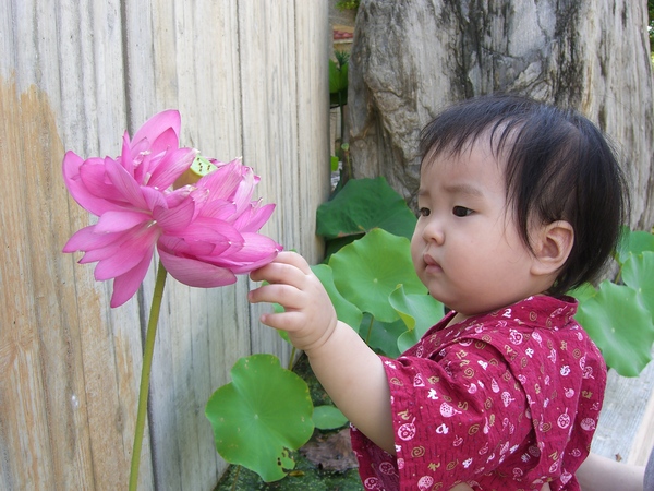 採花禾