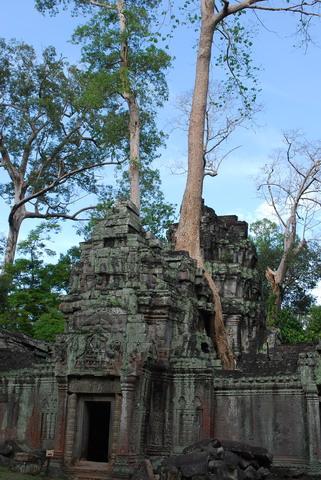 Ta Prohm