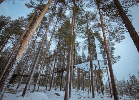 樹屋飯店 treehotel.jpg