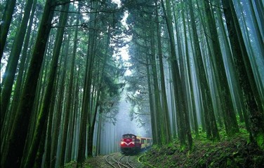 阿里山 阿里山.jpg