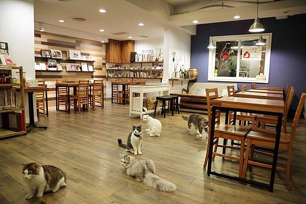 小春日和動物雜貨‧珈琲 小春日和動物雜貨‧珈琲.jpg