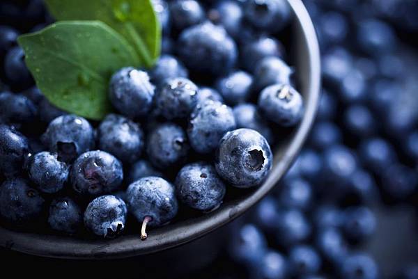 藍莓 blueberries.jpg