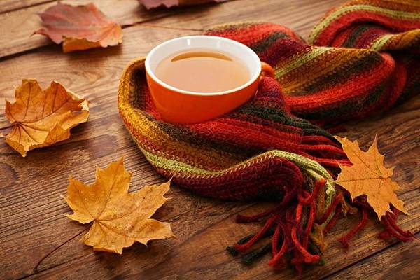 FALL+TEA.jpg FALL+TEA.jpg