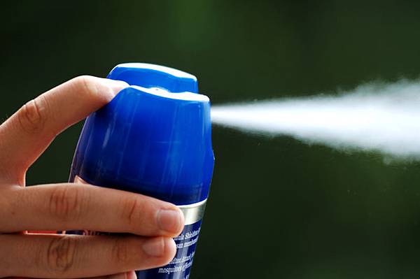 DIY-Pest-Spray-Can.jpg DIY-Pest-Spray-Can.jpg