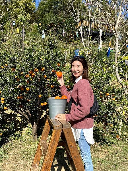 IMG_7107.jpg IMG_7107.jpg